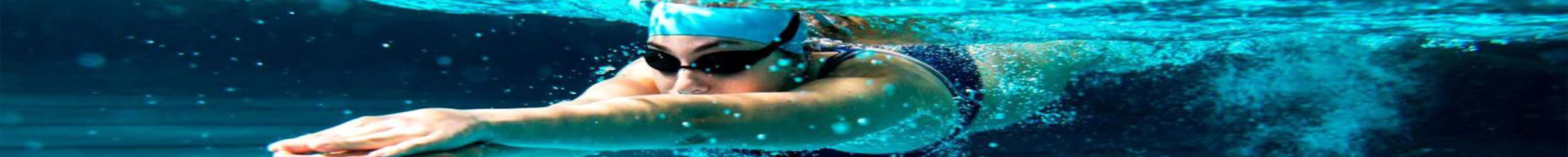 banner-4.jpg