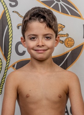 José Rodrigues